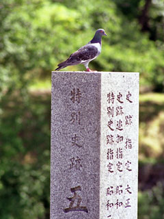 特別史跡五稜郭と刻まれた石の柱の上に鳩