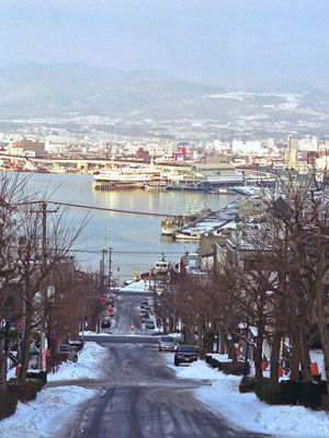 八幡坂の上から函館港を見下ろす
